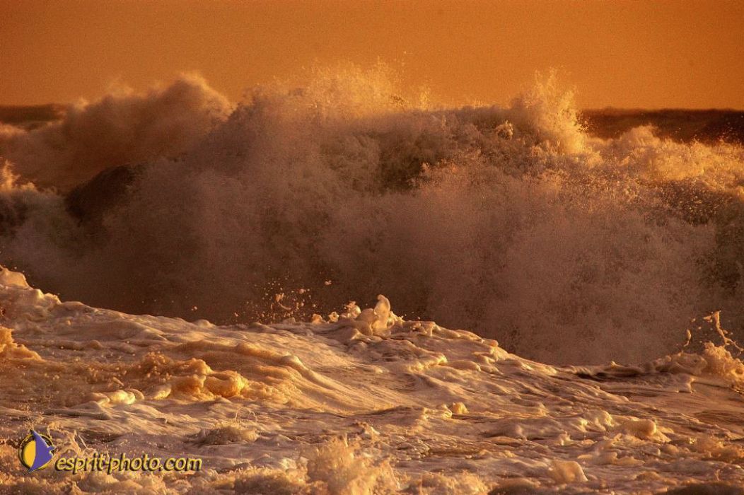 Nom de l'image : EP08-0377_(c)Norbert-JUNG — Description :